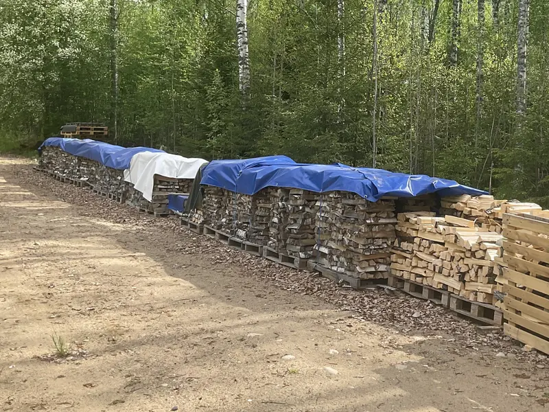 Pitkä klapipino suojattuna sinisillä PVC-pressuilla kesäisessä koivikossa